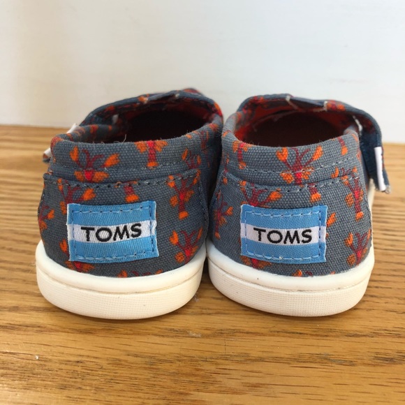 🦞 TOMS lobsters & gray flat w/Velcro size 6 🦞 - Picture 2 of 7